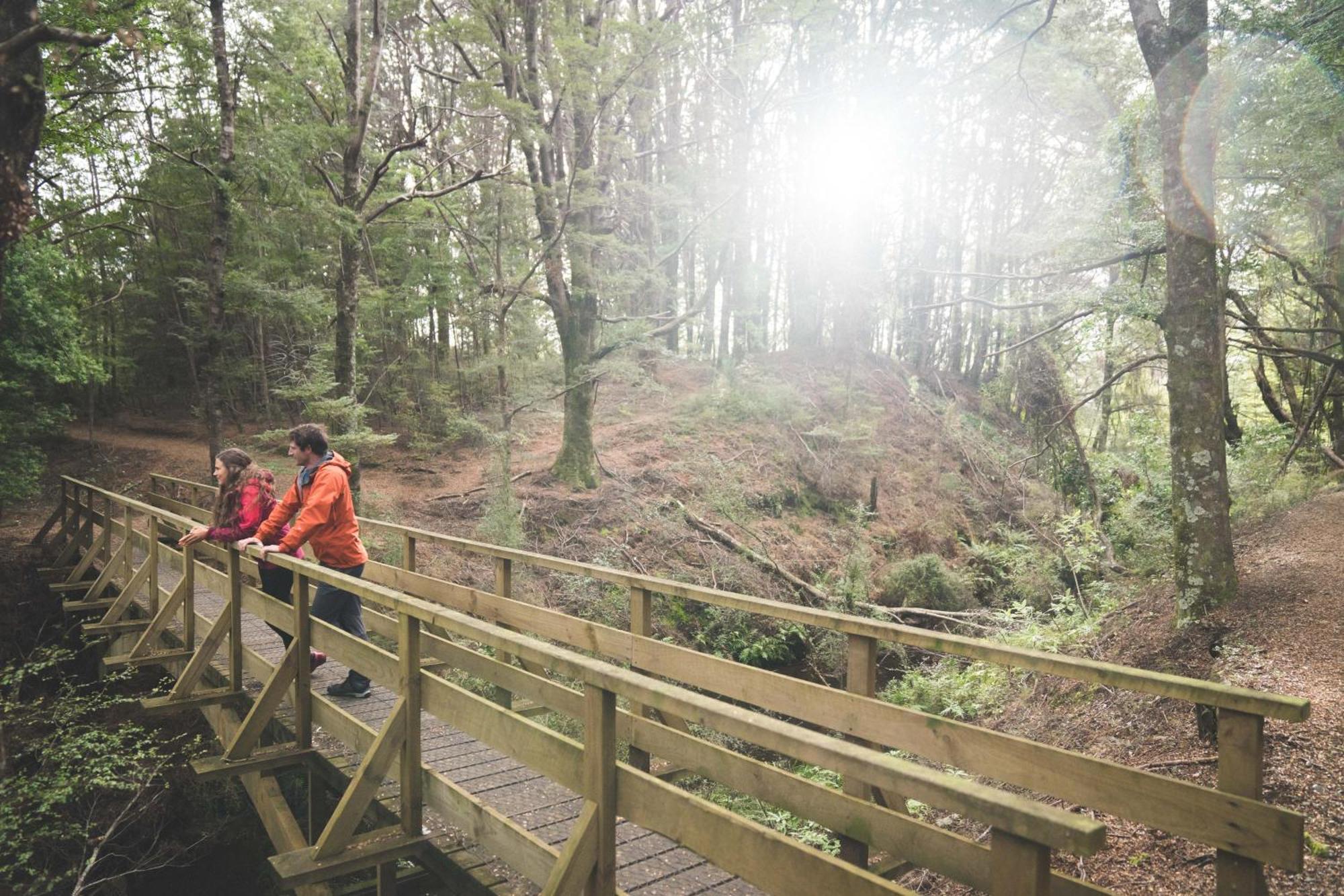 Fiordland National Park Lodge Te Anau Downs Zewnętrze zdjęcie